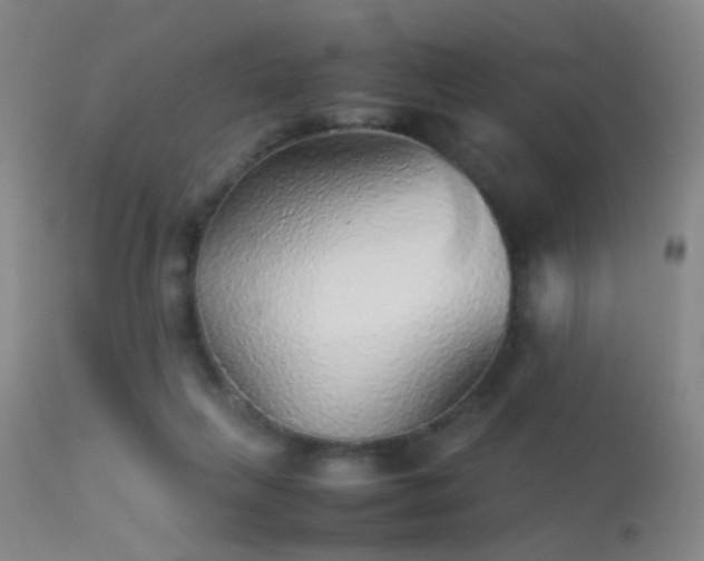 X0000113240263200909171610