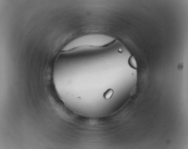 X0000113240264200909171610