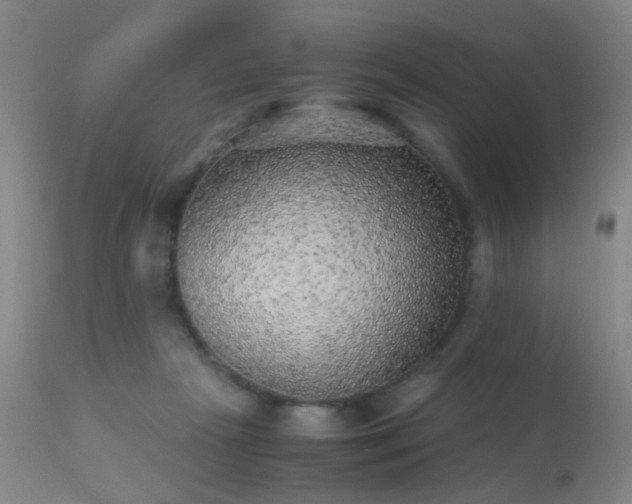 X0000113240265200909171610