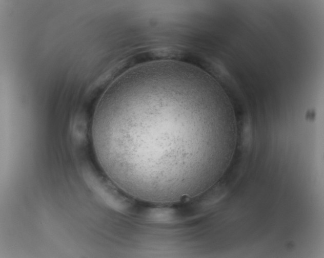 X0000113240266200909171610