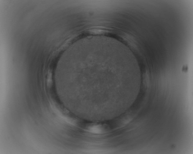 X0000113240267200909171610