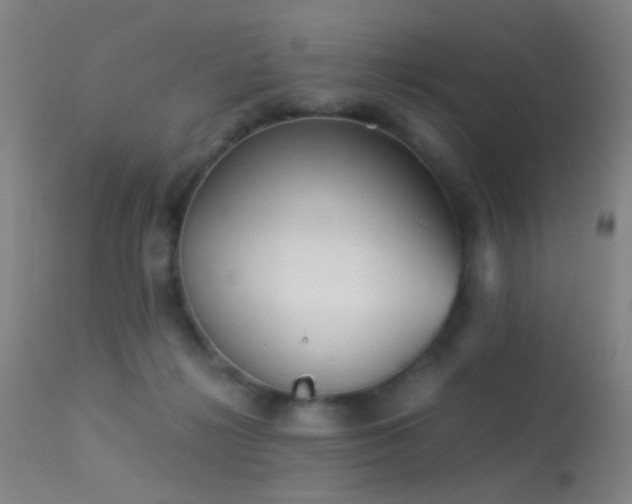 X0000113240268200909171610