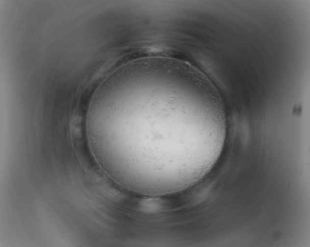 X0000113240269200909171610