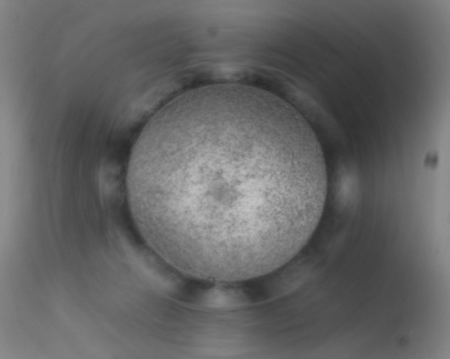 X0000113240270200909171610