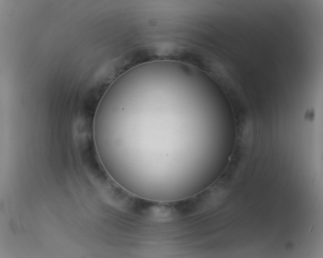 X0000113240272200909171610