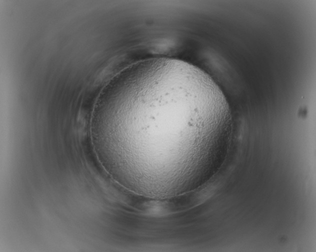 X0000113240273200909171610