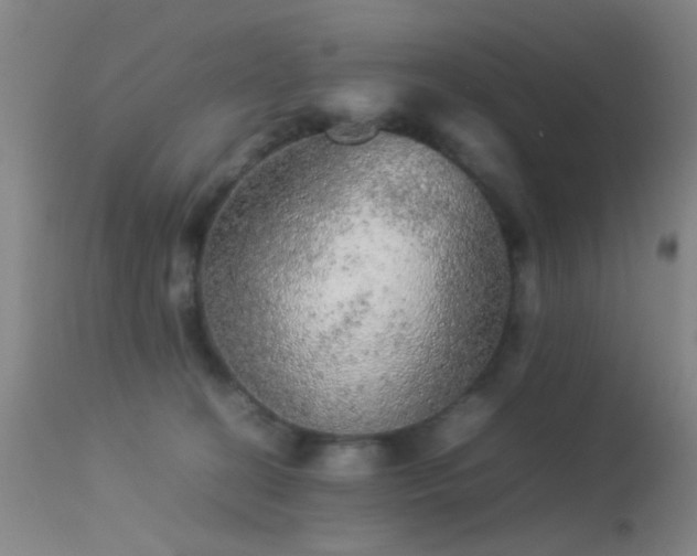 X0000113240274200909171610