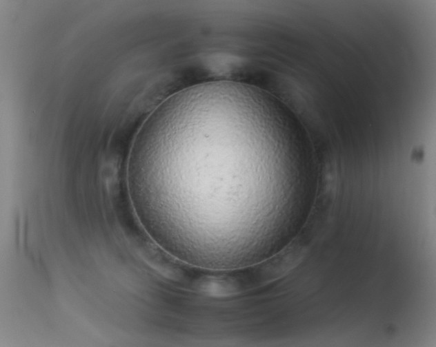 X0000113240275200909171610