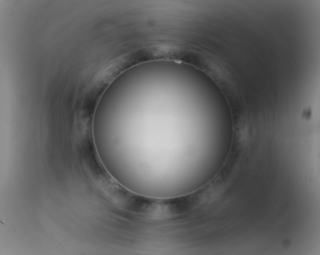 X0000113240276200909171610