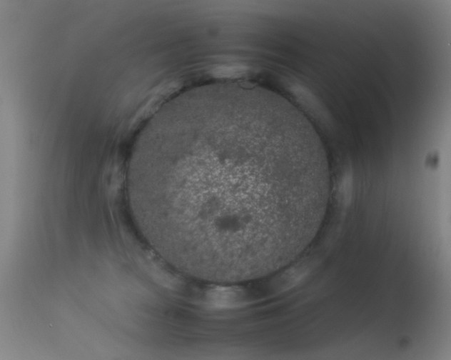 X0000113240277200909171610