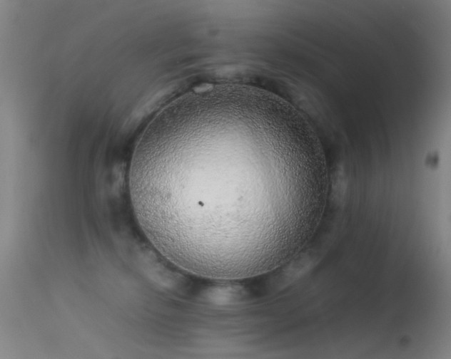 X0000113240278200909171610