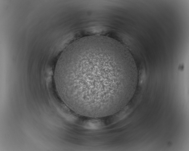 X0000113240279200909171610