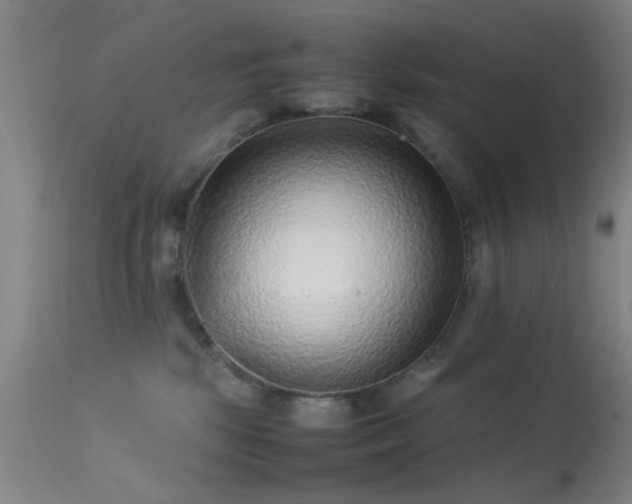 X0000113240281200909171610