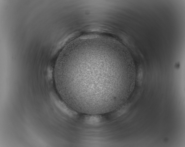 X0000113240282200909171610