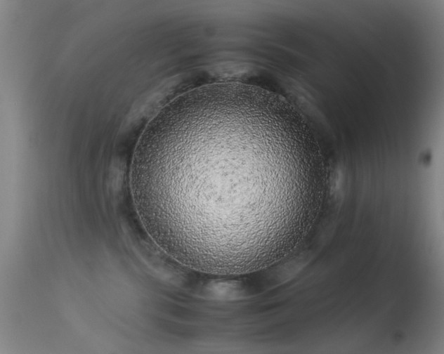 X0000113240283200909171610