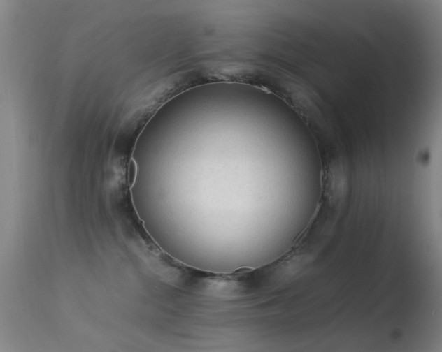 X0000113240284200909171610