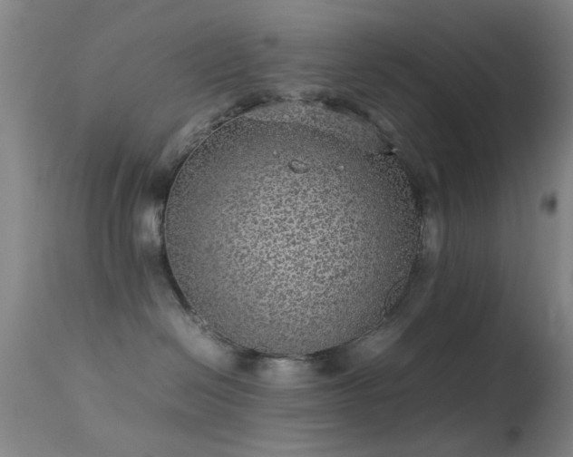 X0000113240286200909171610