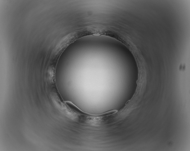 X0000113240288200909171610