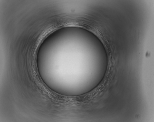 X0000113240289200909171609