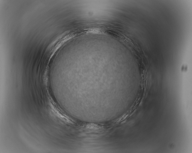 X0000113240290200909171609