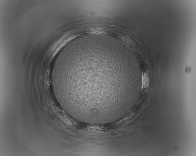 X0000113240291200909171609