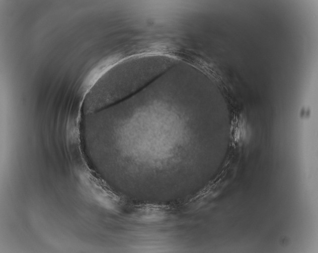 X0000113240292200909171609