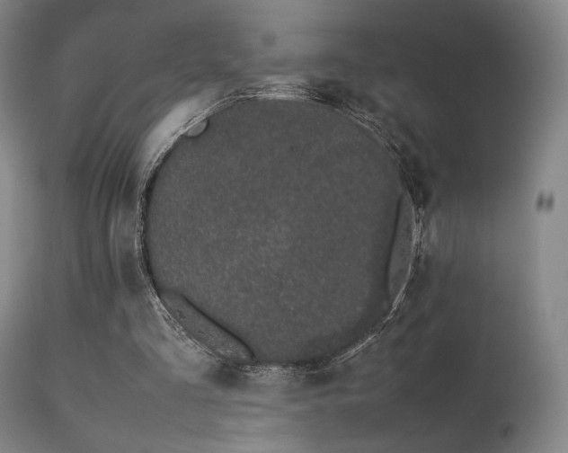 X0000113240293200909171609