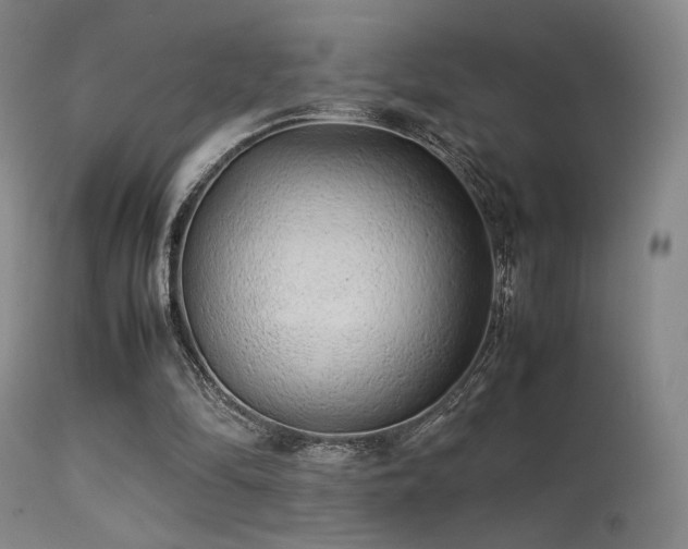 X0000113240294200909171609