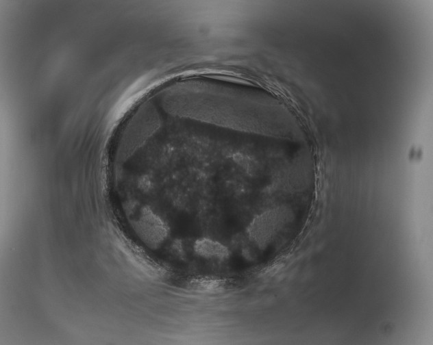 X0000113240295200909171609