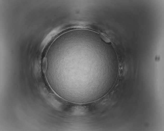 X0000113240296200909171609