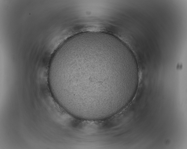 X0000113240297200909171609