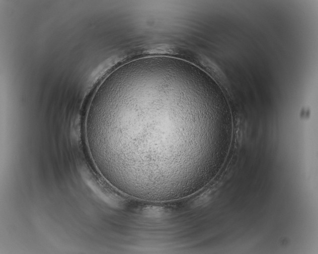 X0000113240298200909171609