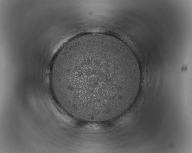 X0000113240299200909171609