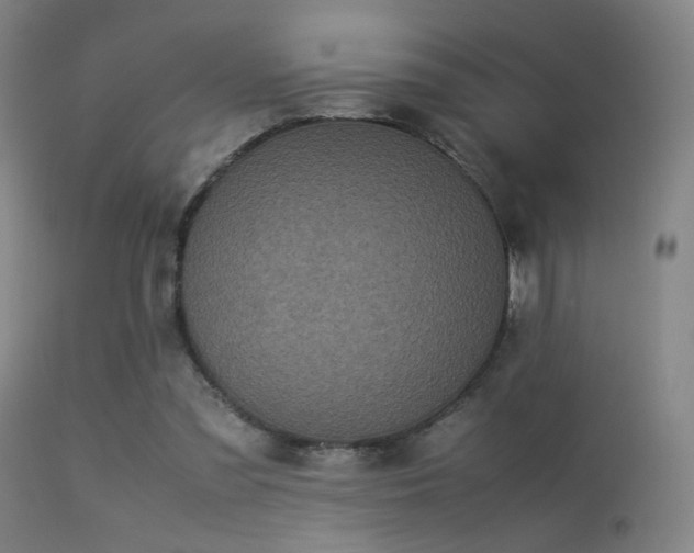 X0000113240301200909171609