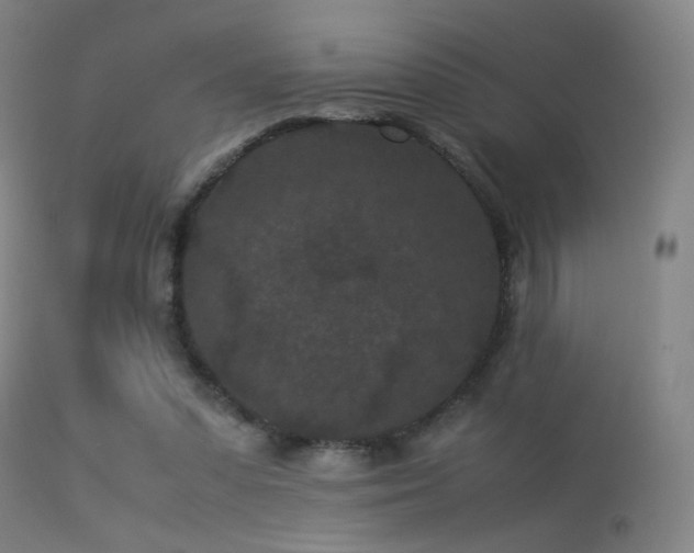 X0000113240303200909171609