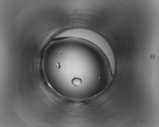 X0000113240304200909171609