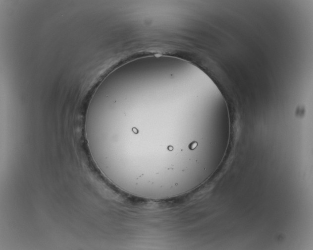 X0000113240305200909171609