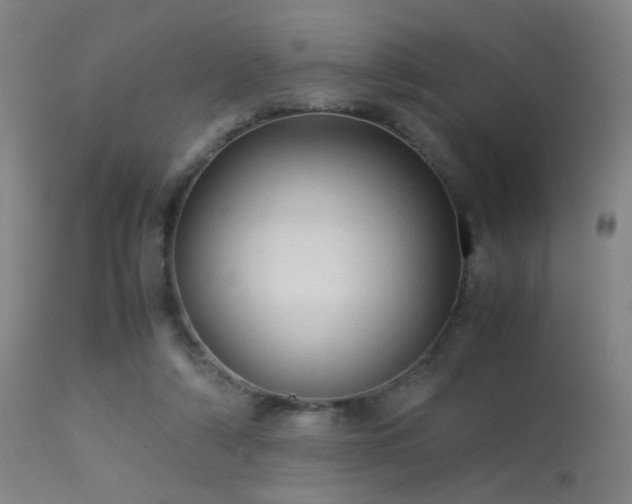 X0000113240306200909171609