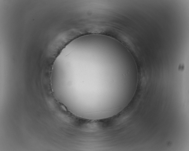 X0000113240307200909171609