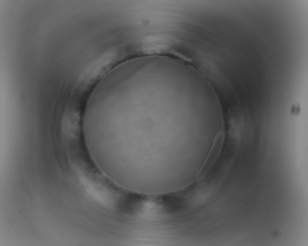 X0000113240308200909171609