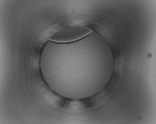 X0000113240309200909171609