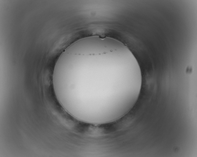 X0000113240311200909171609