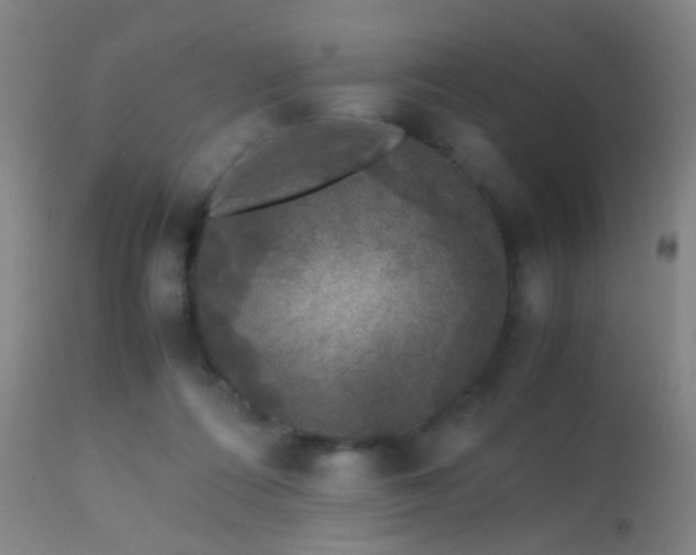 X0000113240312200909171609