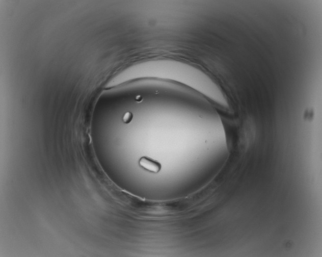 X0000113240316200909171609