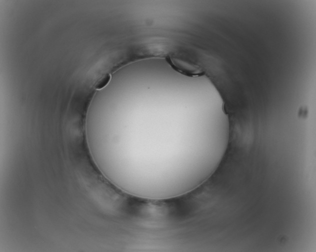 X0000113240317200909171609