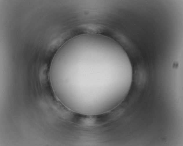 X0000113240318200909171609