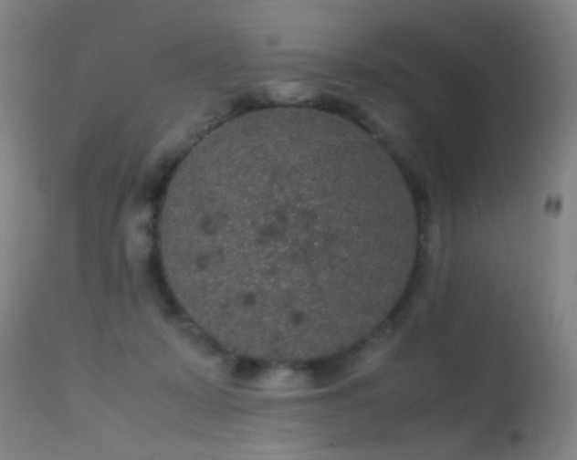 X0000113240319200909171609