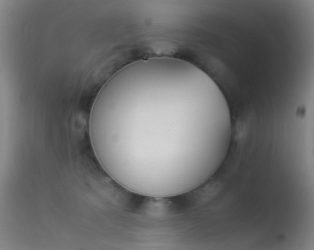 X0000113240321200909171609