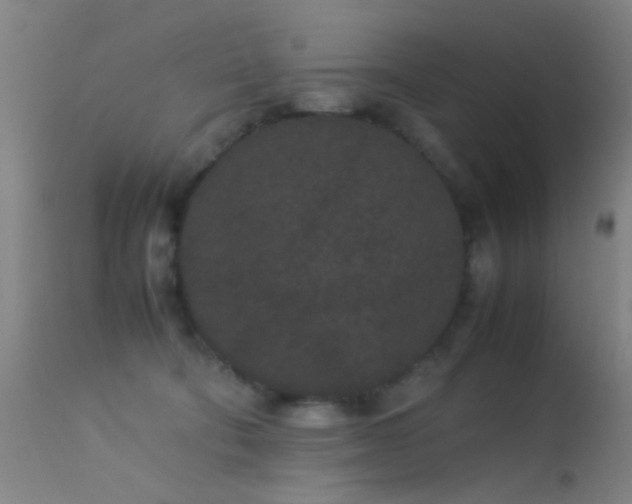 X0000113240322200909171609