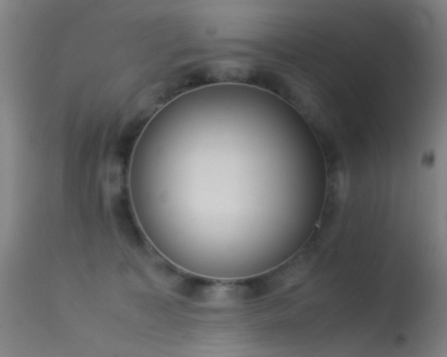 X0000113240323200909171609